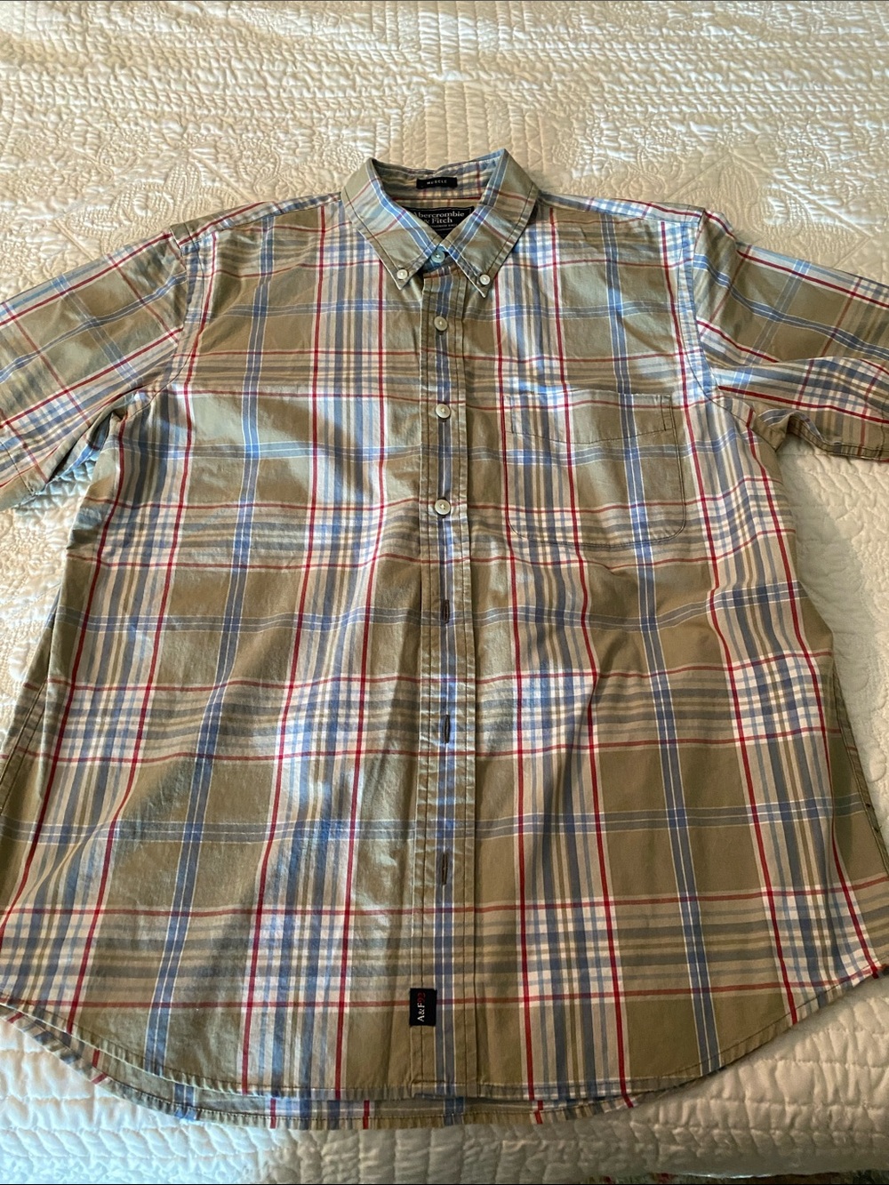 Abercrombie & Fitch Olive Plaid Button-Down with Blue and Red Stripes
